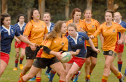 https://dunstan.ibcdn.nz/media/2020_05_08_sports_w180.jpg