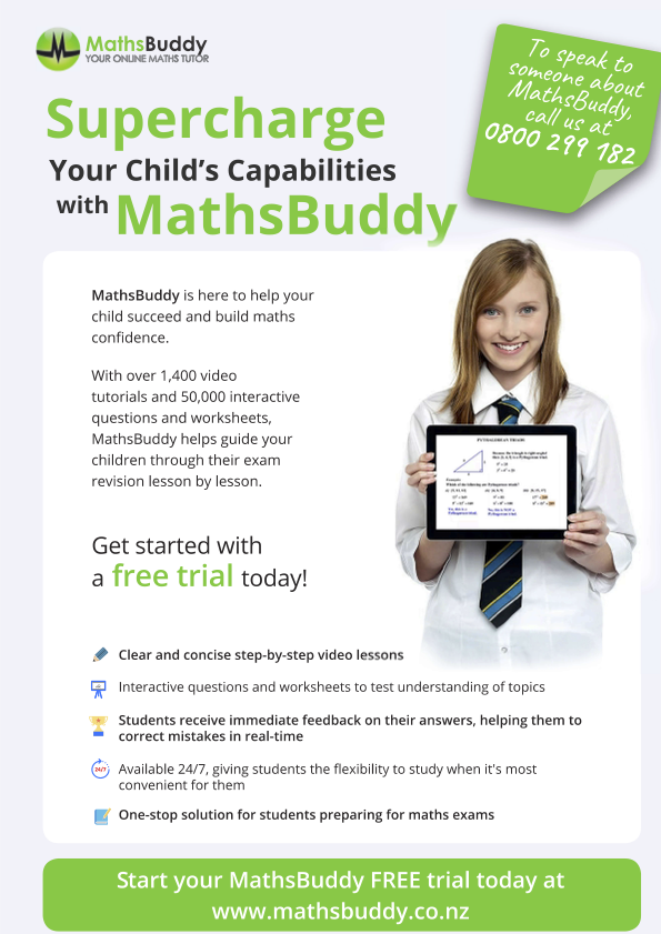 Mathsbuddy Flyer (2)