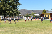 https://dunstan.ibcdn.nz/media/2025_01_31_dsc_0131jpg_w180.jpg