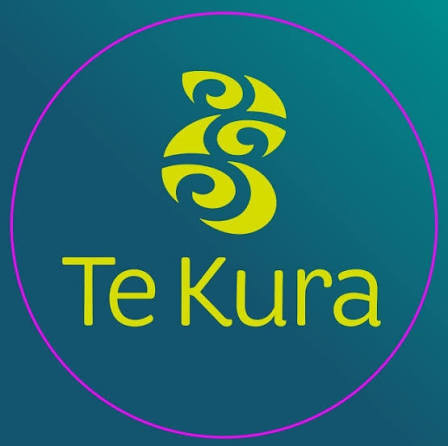 Te Kura Summer School