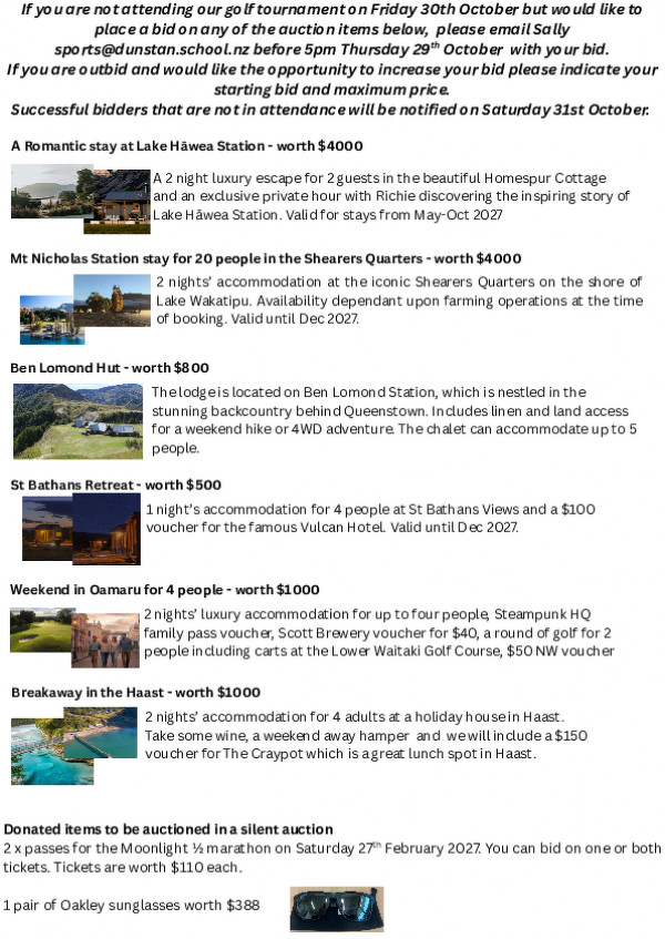 Auction Items (3)